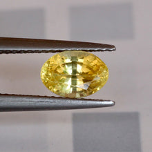 1.42Carat Natural Yellow Sapphire Unheated Oval Cut Golden Yellow Good Luster | Unheated Loose Stone