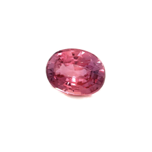 1.55Carat Natural Rare PREMIUM Top Mix Oval Padparadscha Sapphire Gemstone 950 Platinum Bespoke Jewelry Fine Jewelry | Unheated Loose Stone