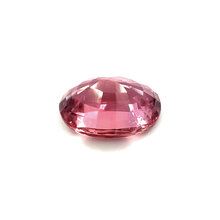 1.55Carat Natural Rare PREMIUM Top Mix Oval Padparadscha Sapphire Gemstone 950 Platinum Bespoke Jewelry Fine Jewelry | Unheated Loose Stone