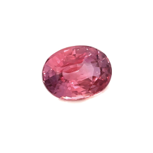 1.55Carat Natural Rare PREMIUM Top Mix Oval Padparadscha Sapphire Gemstone 950 Platinum Bespoke Jewelry Fine Jewelry | Unheated Loose Stone