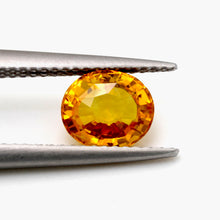 1.56Carat Natural Yellow Sapphire Oval Cut Brilliant Luster Lovely Golden Yellow Color Top Stone | Heated Loose Stone