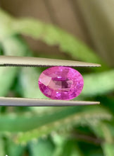 Loose pink sapphire oval – vivid color and brilliance ideal for custom ring design