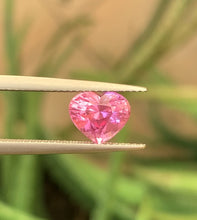 Close-up of natural heart-cut Padparadscha sapphire showing pink-orange color blend and precision faceting