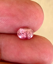 Loupe clean oval Padparadscha sapphire heated natural gemstone