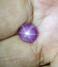 4.49Carat Natural Pinkish Star Ruby with Excellent Ray | Very Good Shape Very Good Material | Unhated Loose Stone