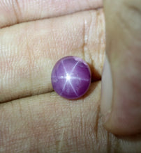 4.49Carat Natural Pinkish Star Ruby with Excellent Ray | Very Good Shape Very Good Material | Unhated Loose Stone