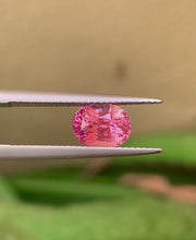 2.21 carat unheated untreated Padparadscha sapphire oval cut in natural daylight showing vivid pink-orange color
