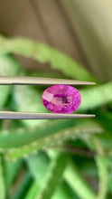 3.05 carat unheated bubblegum pink sapphire oval cut in natural daylight