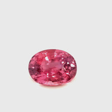 1.55Carat Natural Rare PREMIUM Top Mix Oval Padparadscha Sapphire Gemstone 950 Platinum Bespoke Jewelry Fine Jewelry | Unheated Loose Stone