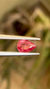 1.07 carat pear cut Padparadscha sapphire certified sunset color natural gemstone