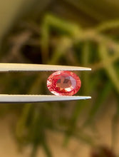 Certified Padparadscha sapphire 2.03ct vivid pinkish-orange rare Ceylon stone