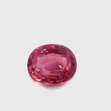 1.73Carat Natural Rare PREMIUM Top Mix Padparadscha Sapphire Gemstone for 18k Yellow Gold Wedding ring, Platinum Ring| Unheated Loose Stone